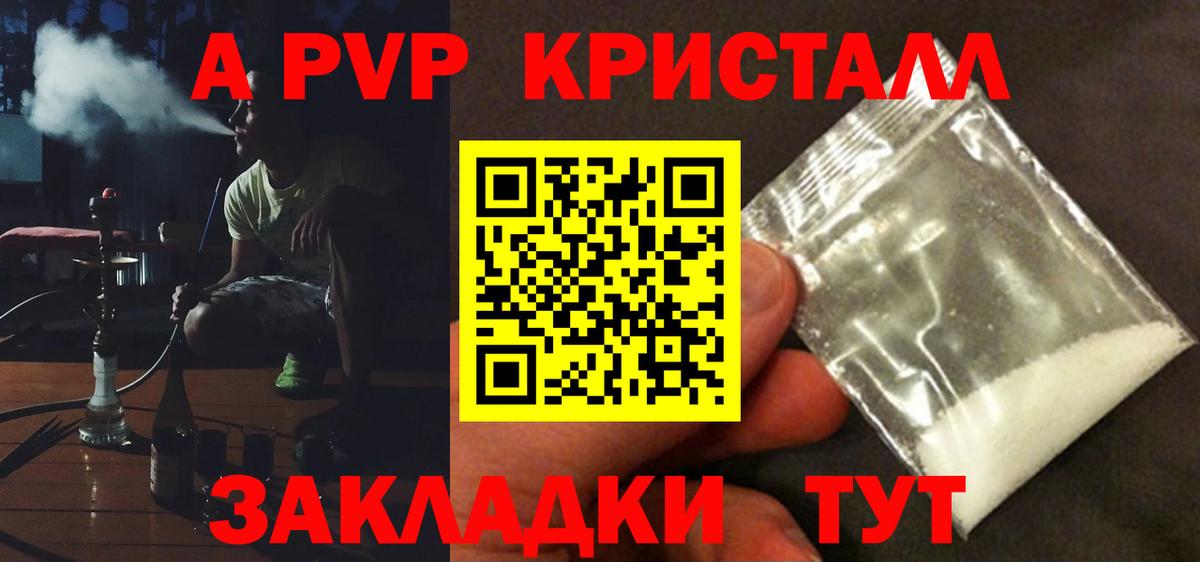 Alfa_PVP СК Сосновый Бор