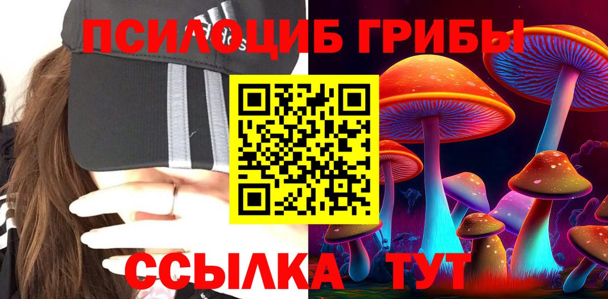 Галлюциногенные грибы Cubensis Сосновый Бор